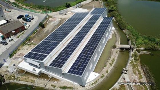 全球首座AI智慧綠能養殖示範場,太陽能發電22萬度,生產低碳綠能的台灣產頂級白蝦